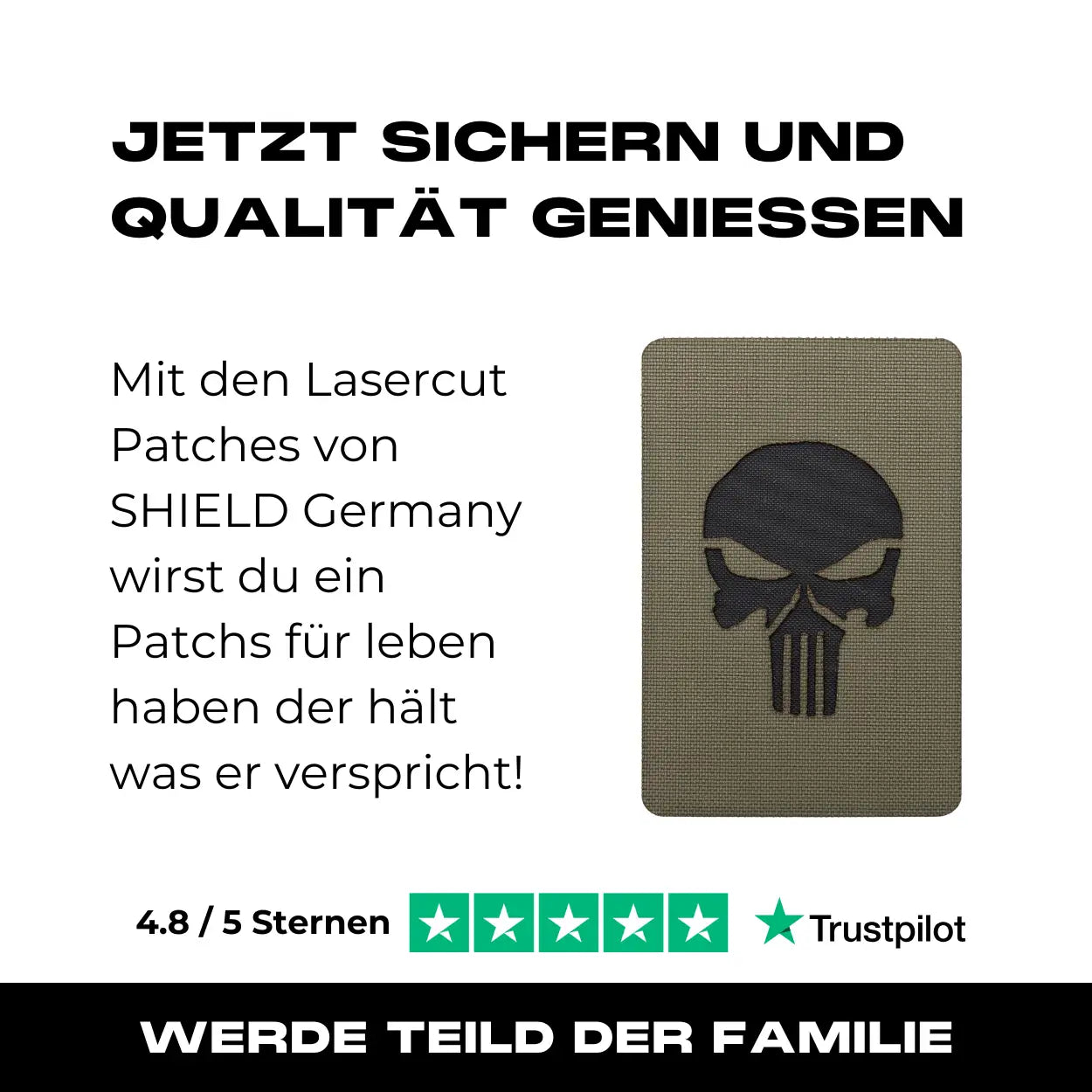 Lasercut Patch - Punisher - Steingrau Oliv