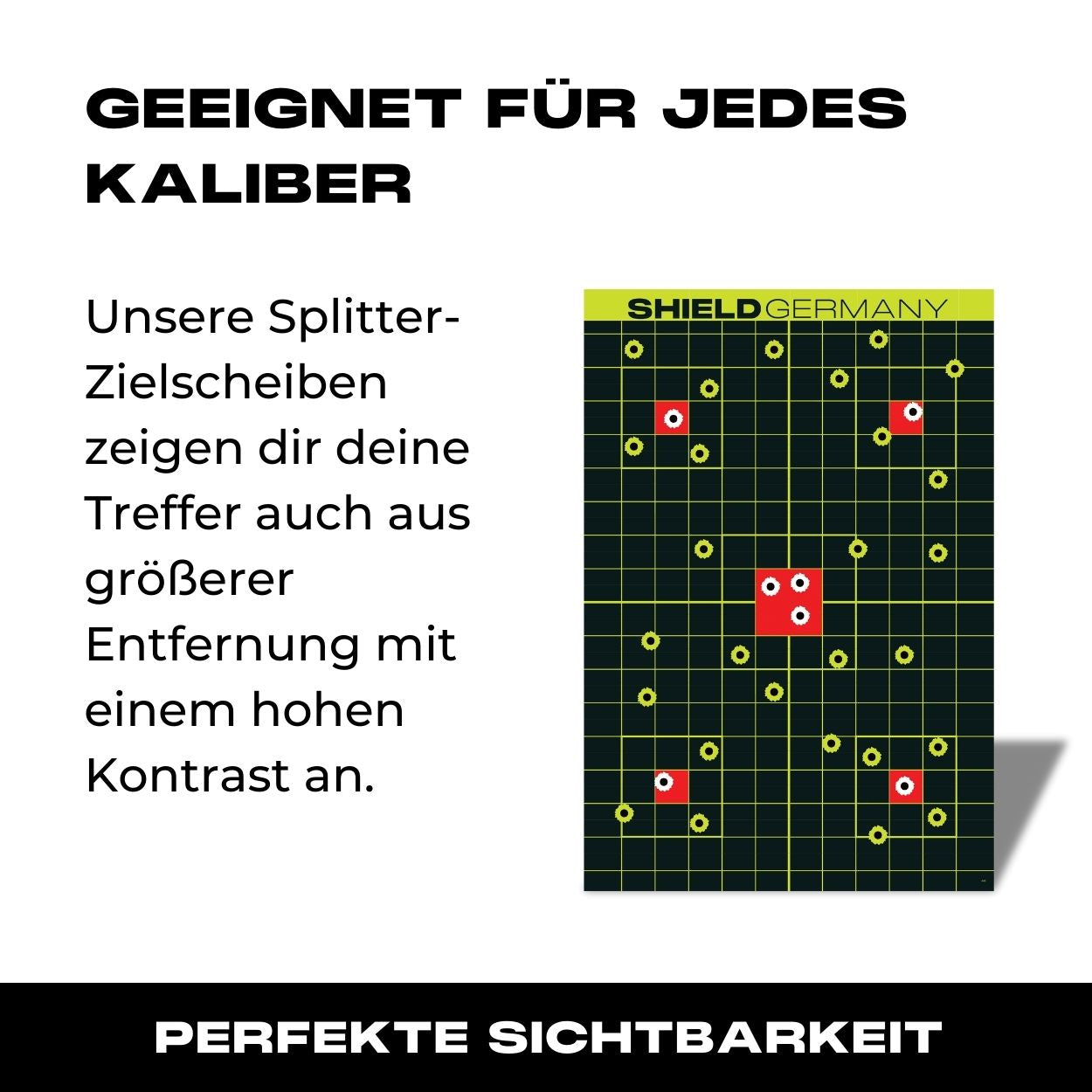 SHIELD Splatter Targets 10er Pack 45x30cm - 04